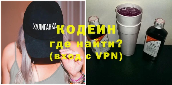 хмурый Няндома