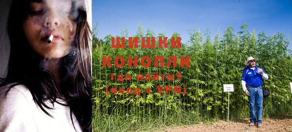 молекула духа Остров