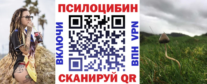 omg ссылки  Олонец  Псилоцибиновые грибы GOLDEN TEACHER 